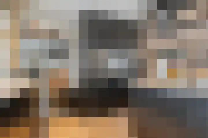 Erve Timmerman 12 Zenderen thumbnail 18