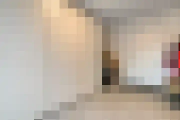 Erve Timmerman 12 Zenderen thumbnail 25