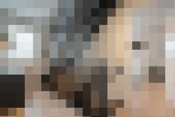 Erve Timmerman 12 Zenderen thumbnail 26