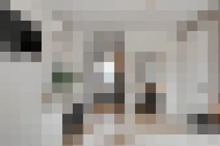 Erve Timmerman 12 Zenderen thumbnail 29