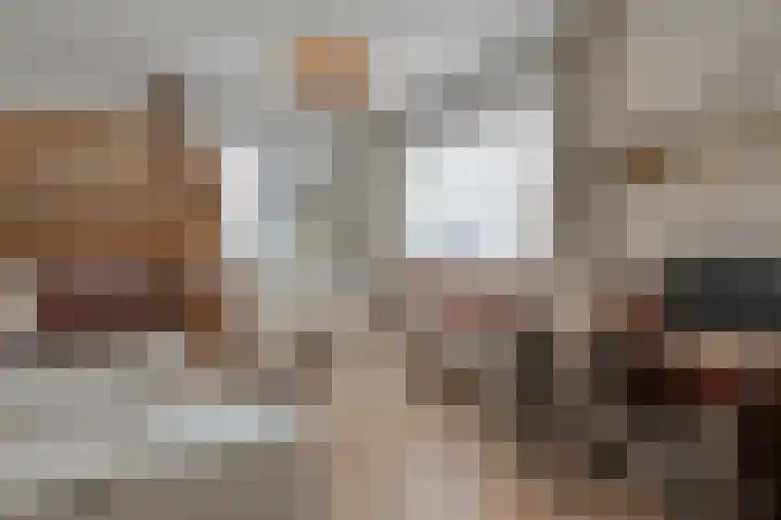 Erve Timmerman 12 Zenderen thumbnail 31