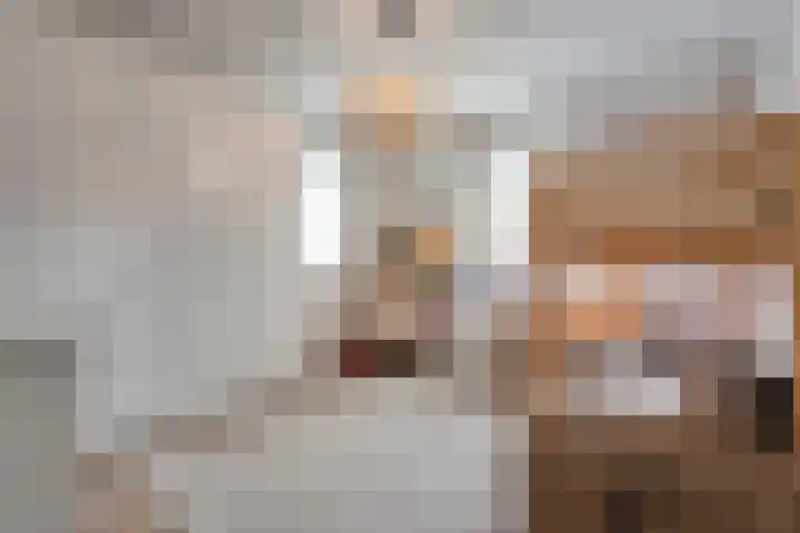 Erve Timmerman 12 Zenderen thumbnail 34