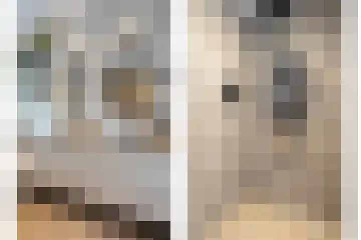 Erve Timmerman 12 Zenderen thumbnail 37