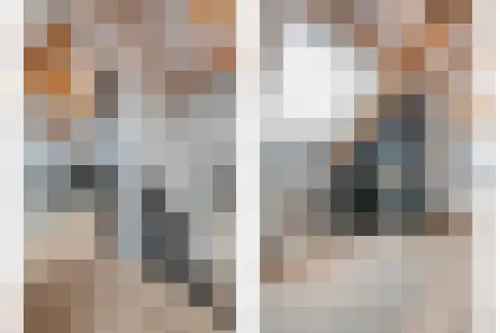 Erve Timmerman 12 Zenderen thumbnail 38