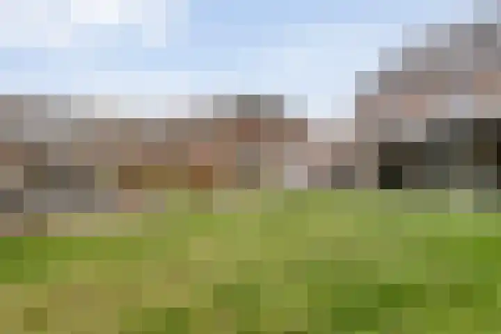 Erve Timmerman 12 Zenderen thumbnail 4