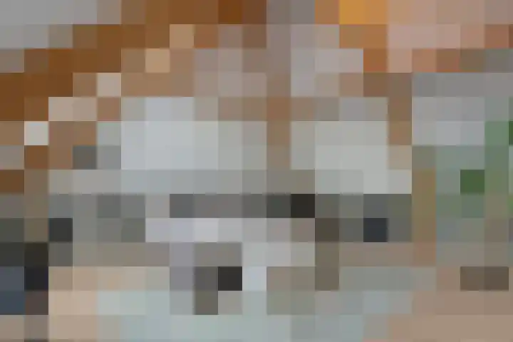 Erve Timmerman 12 Zenderen thumbnail 40