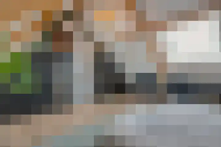 Erve Timmerman 12 Zenderen thumbnail 41
