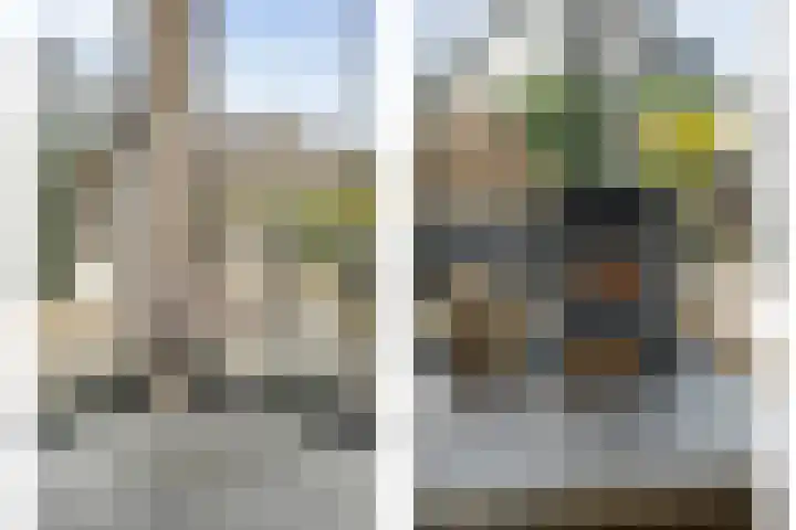 Erve Timmerman 12 Zenderen thumbnail 42