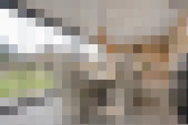 Erve Timmerman 12 Zenderen thumbnail 44