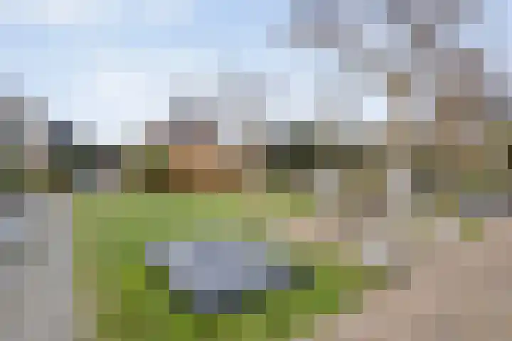 Erve Timmerman 12 Zenderen thumbnail 45