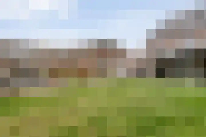 Erve Timmerman 12 Zenderen thumbnail 48