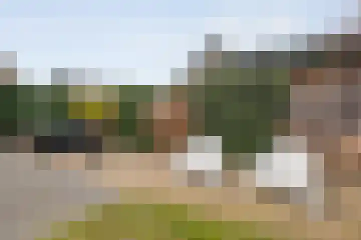 Erve Timmerman 12 Zenderen thumbnail 49