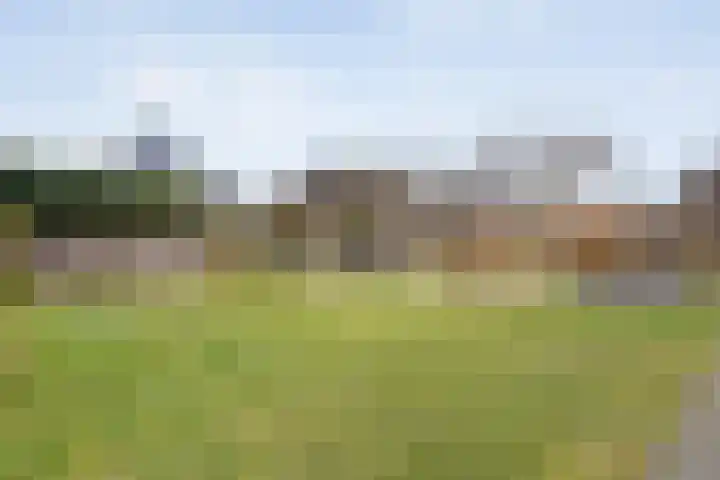 Erve Timmerman 12 Zenderen thumbnail 50