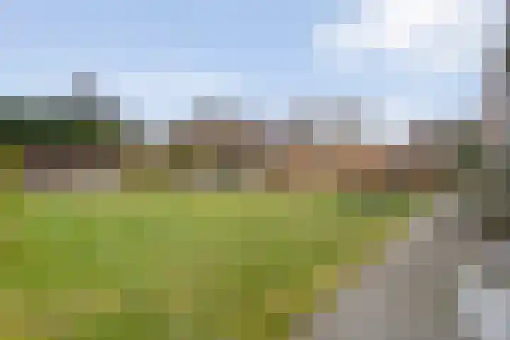 Erve Timmerman 12 Zenderen thumbnail 51