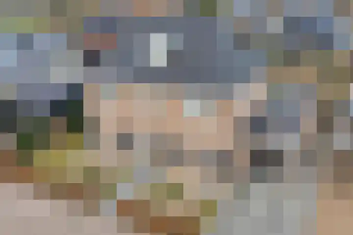Erve Timmerman 12 Zenderen thumbnail 54