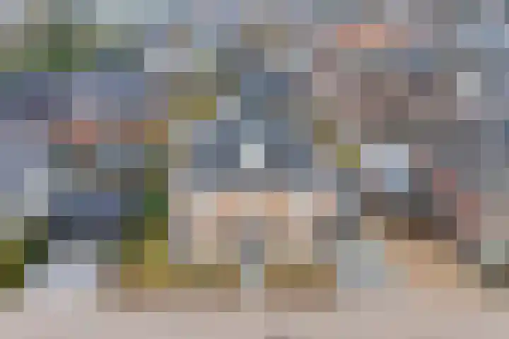 Erve Timmerman 12 Zenderen thumbnail 55