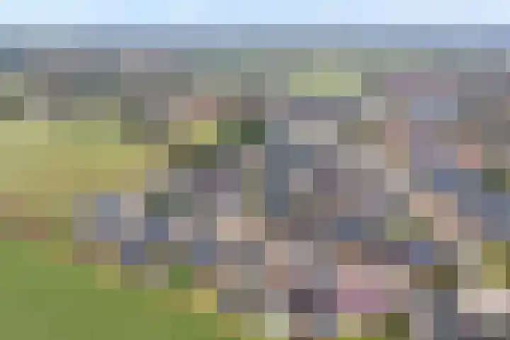 Erve Timmerman 12 Zenderen thumbnail 57