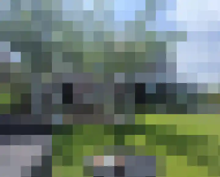 Erve Timmerman 12 Zenderen thumbnail 58