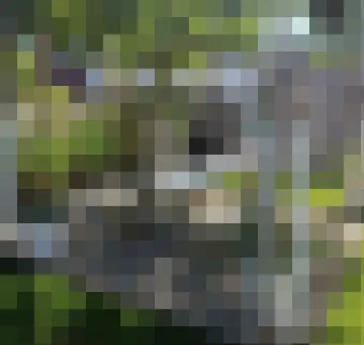 Erve Timmerman 12 Zenderen thumbnail 59