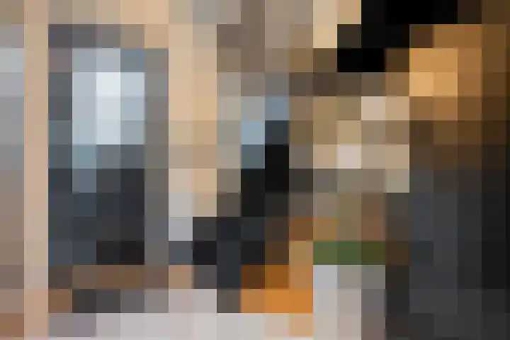 Erve Timmerman 12 Zenderen thumbnail 7