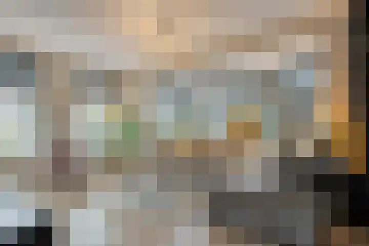 Erve Timmerman 12 Zenderen thumbnail 9