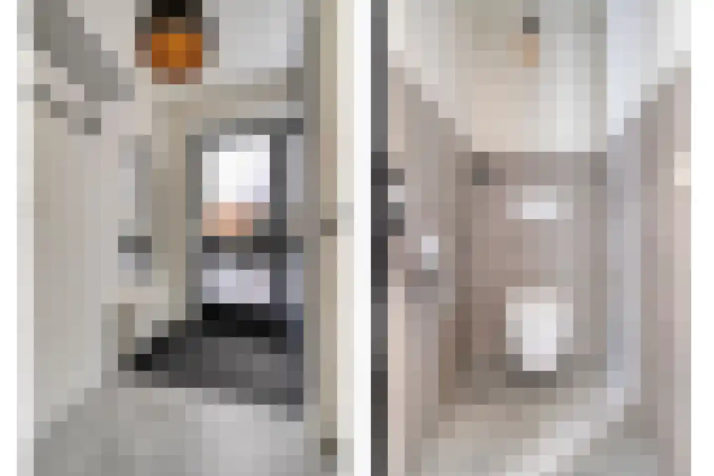 Erve Tjoonk 7 Rijssen thumbnail 12