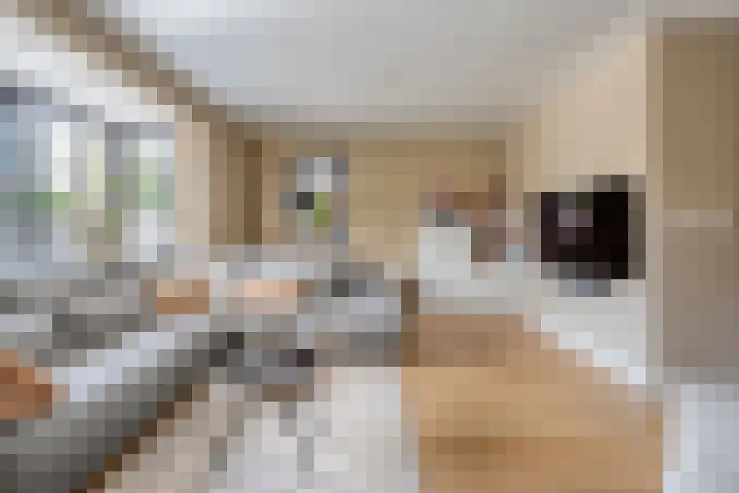 Erve Tjoonk 7 Rijssen thumbnail 14