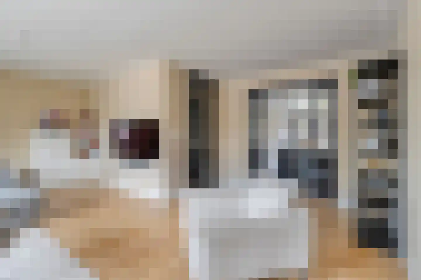 Erve Tjoonk 7 Rijssen thumbnail 16