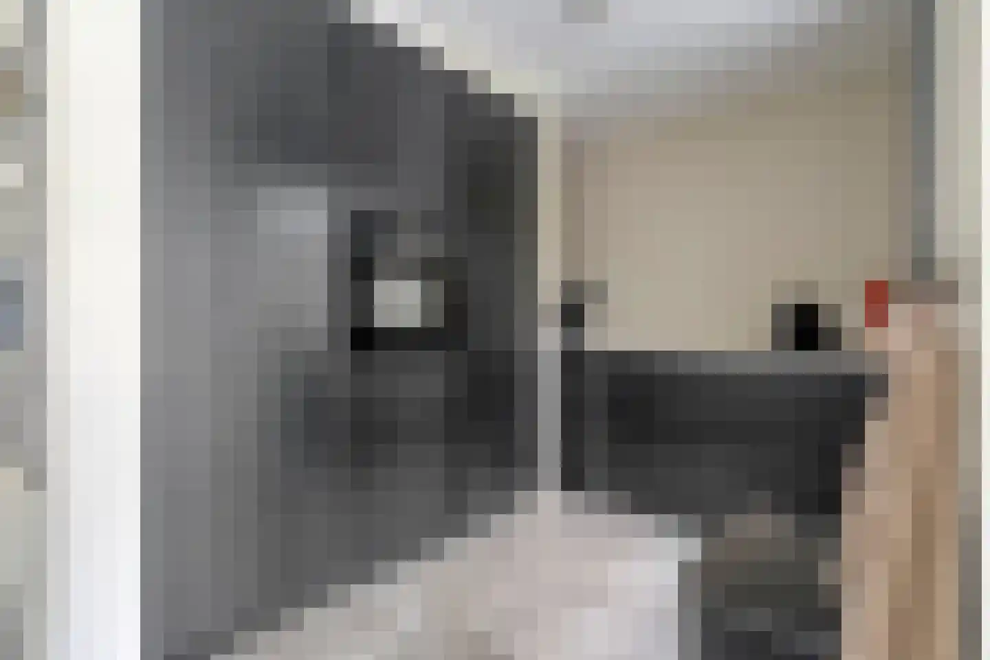 Erve Tjoonk 7 Rijssen thumbnail 21