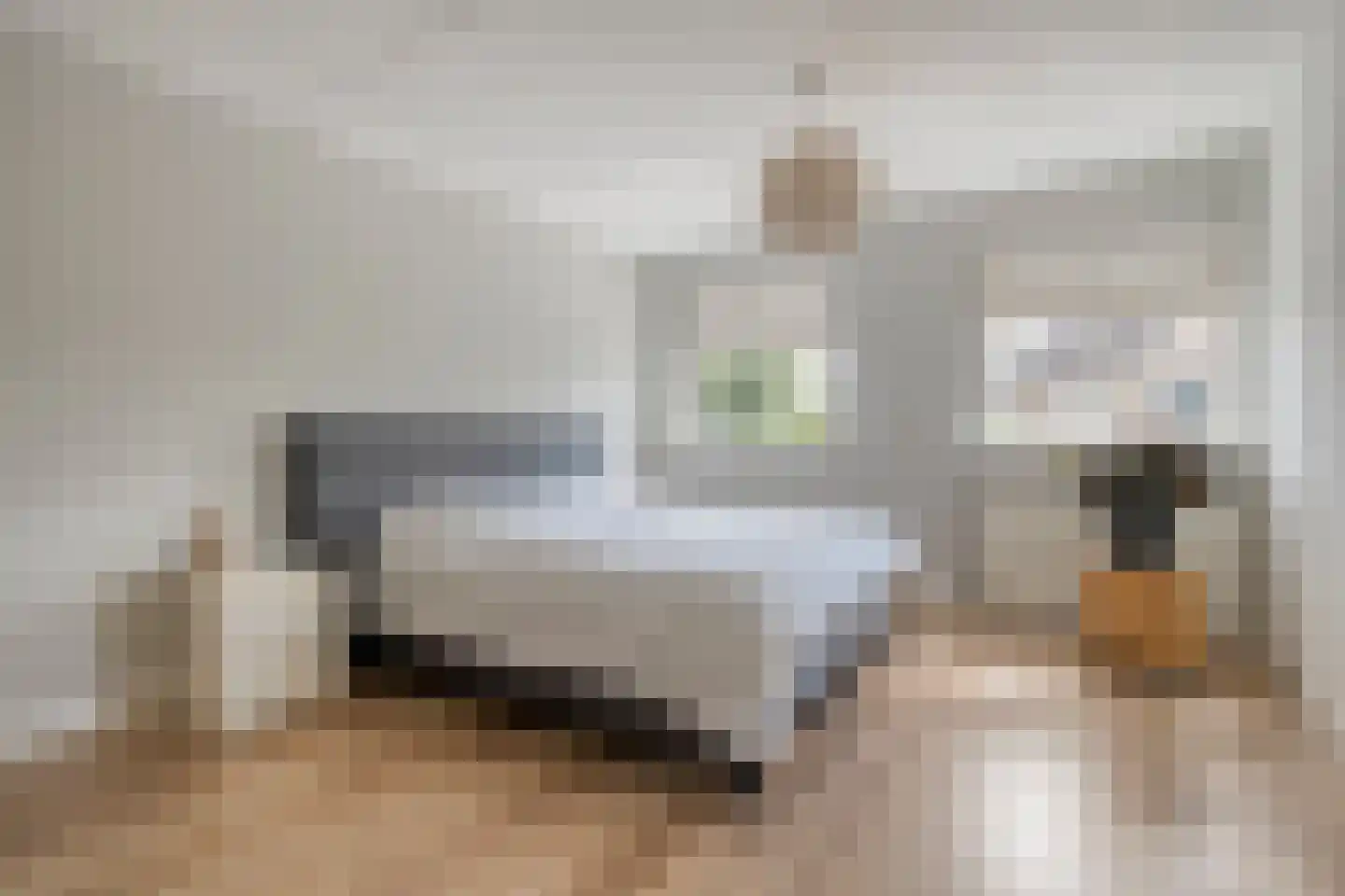 Erve Tjoonk 7 Rijssen thumbnail 29