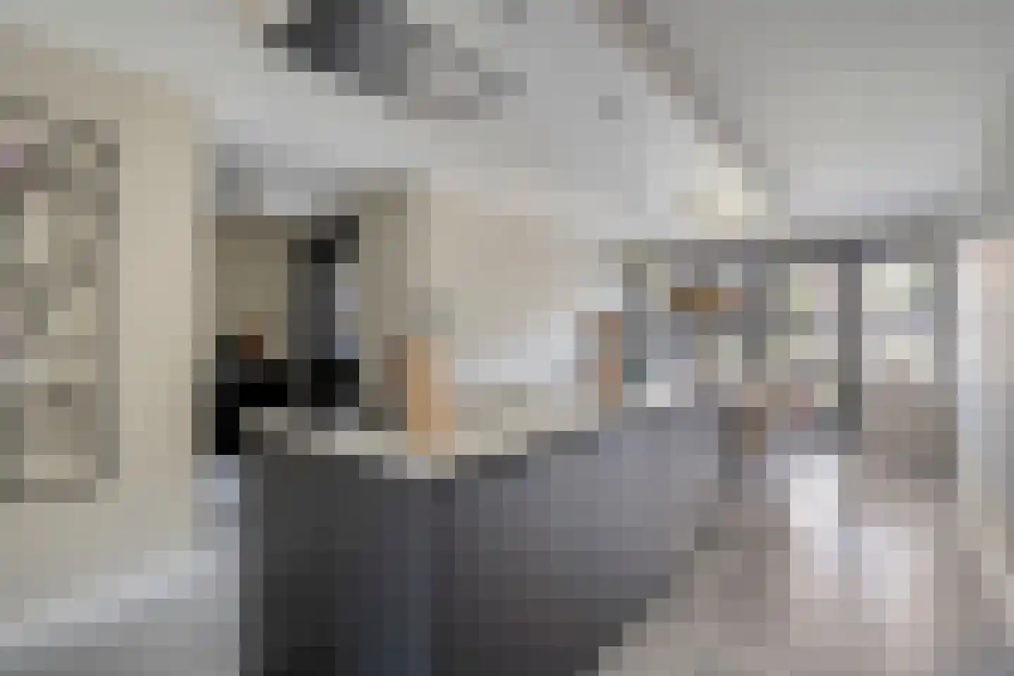 Erve Tjoonk 7 Rijssen foto 3