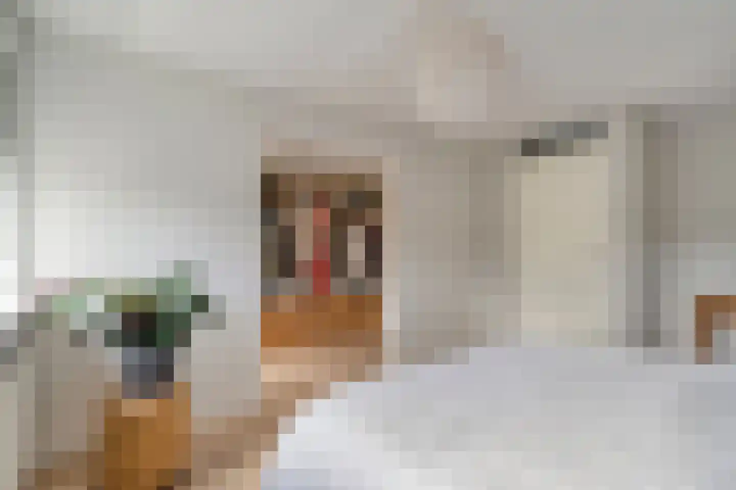 Erve Tjoonk 7 Rijssen thumbnail 30