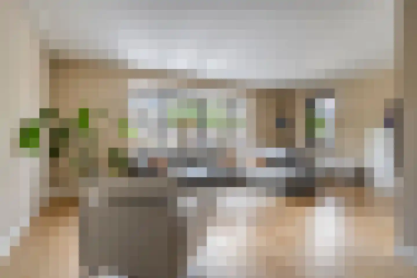 Erve Tjoonk 7 Rijssen thumbnail 4