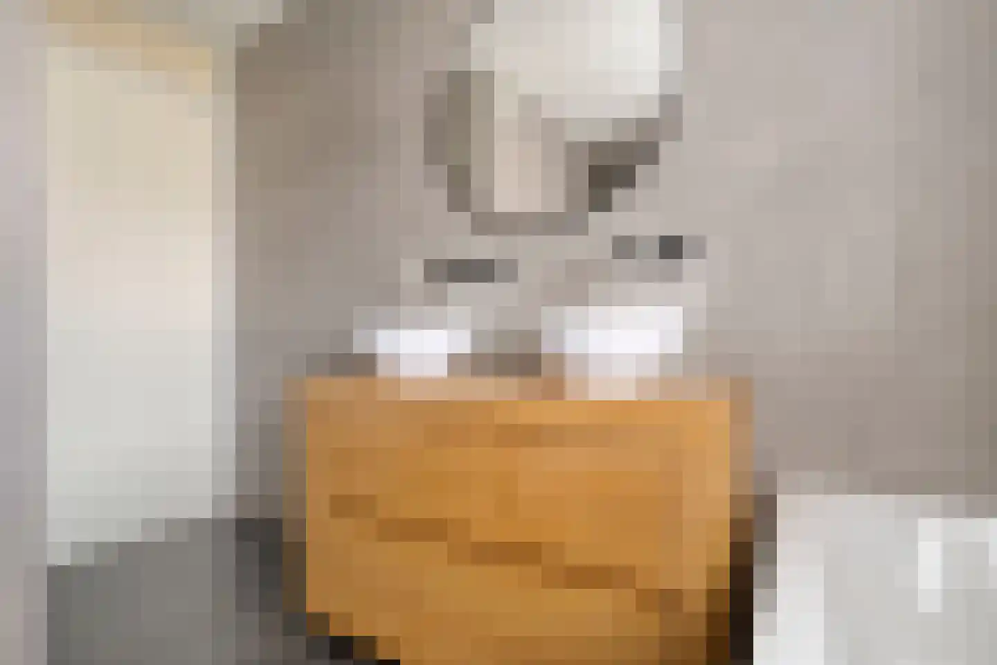Erve Tjoonk 7 Rijssen thumbnail 41