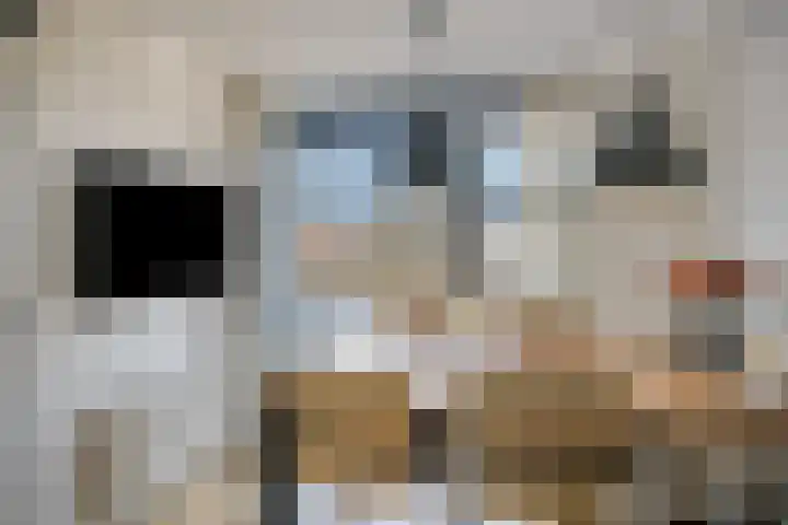 Erve Wolbert 13 Oldenzaal thumbnail 10
