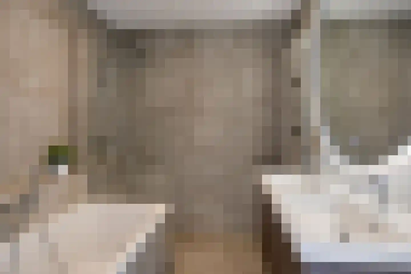 Erve Wolbert 13 Oldenzaal thumbnail 13
