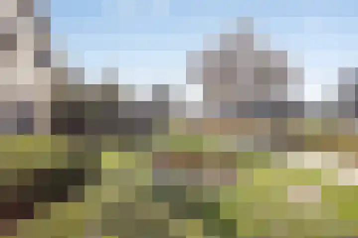 Erve Wolbert 13 Oldenzaal thumbnail 27