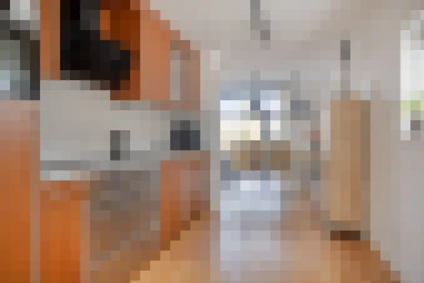 Erve Wolbert 13 Oldenzaal thumbnail 8