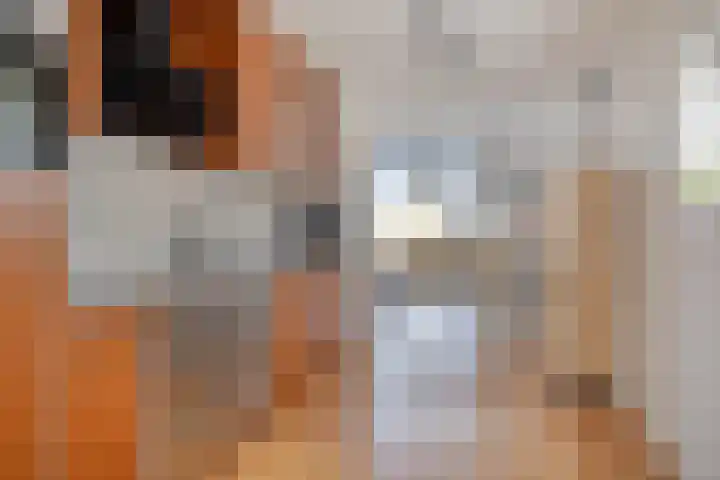 Erve Wolbert 13 Oldenzaal thumbnail 8
