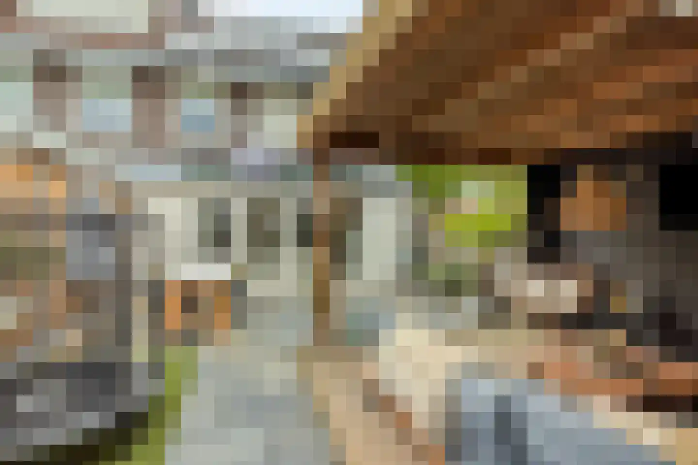Erve Wolbert 7 Oldenzaal thumbnail 26