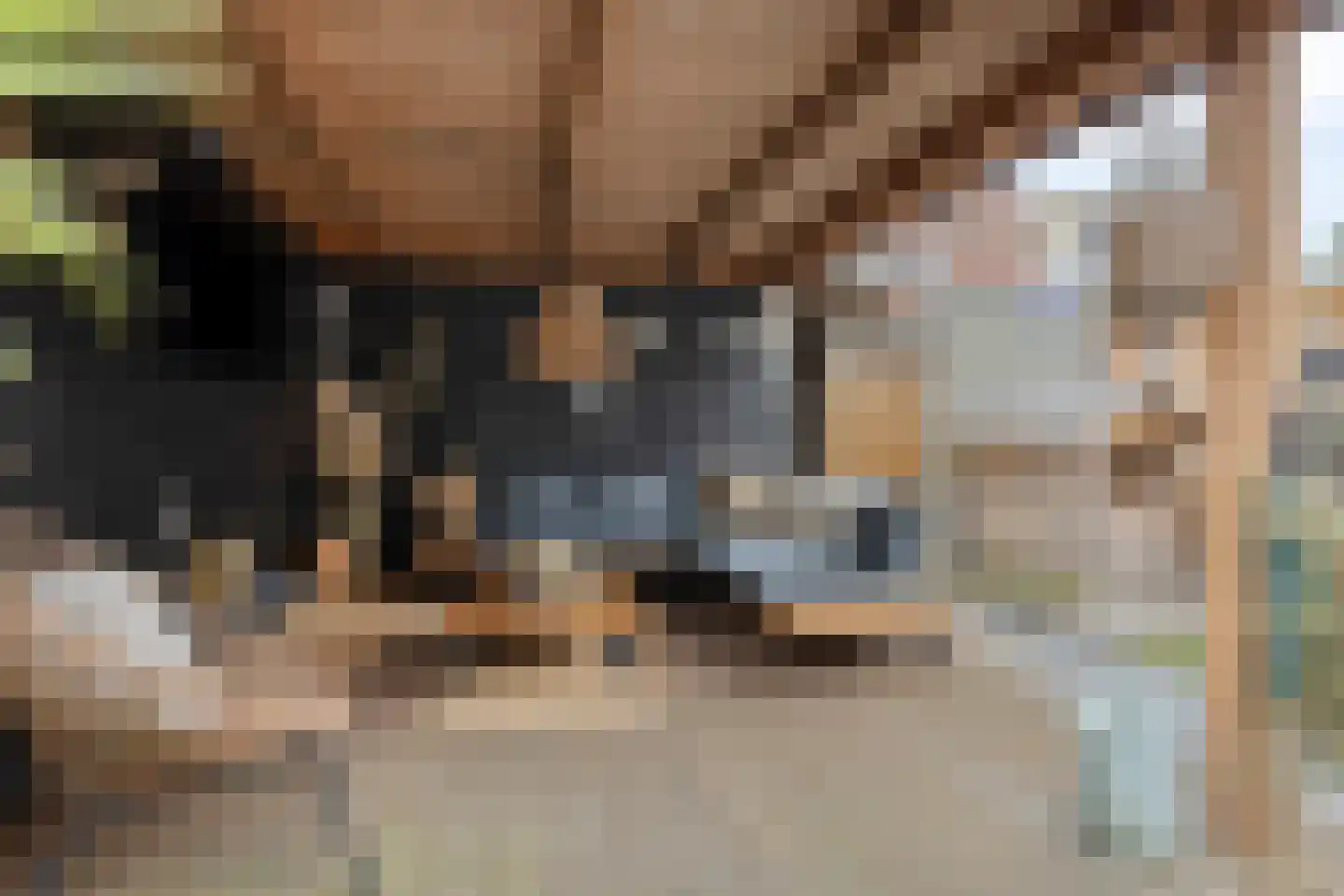 Erve Wolbert 7 Oldenzaal thumbnail 27