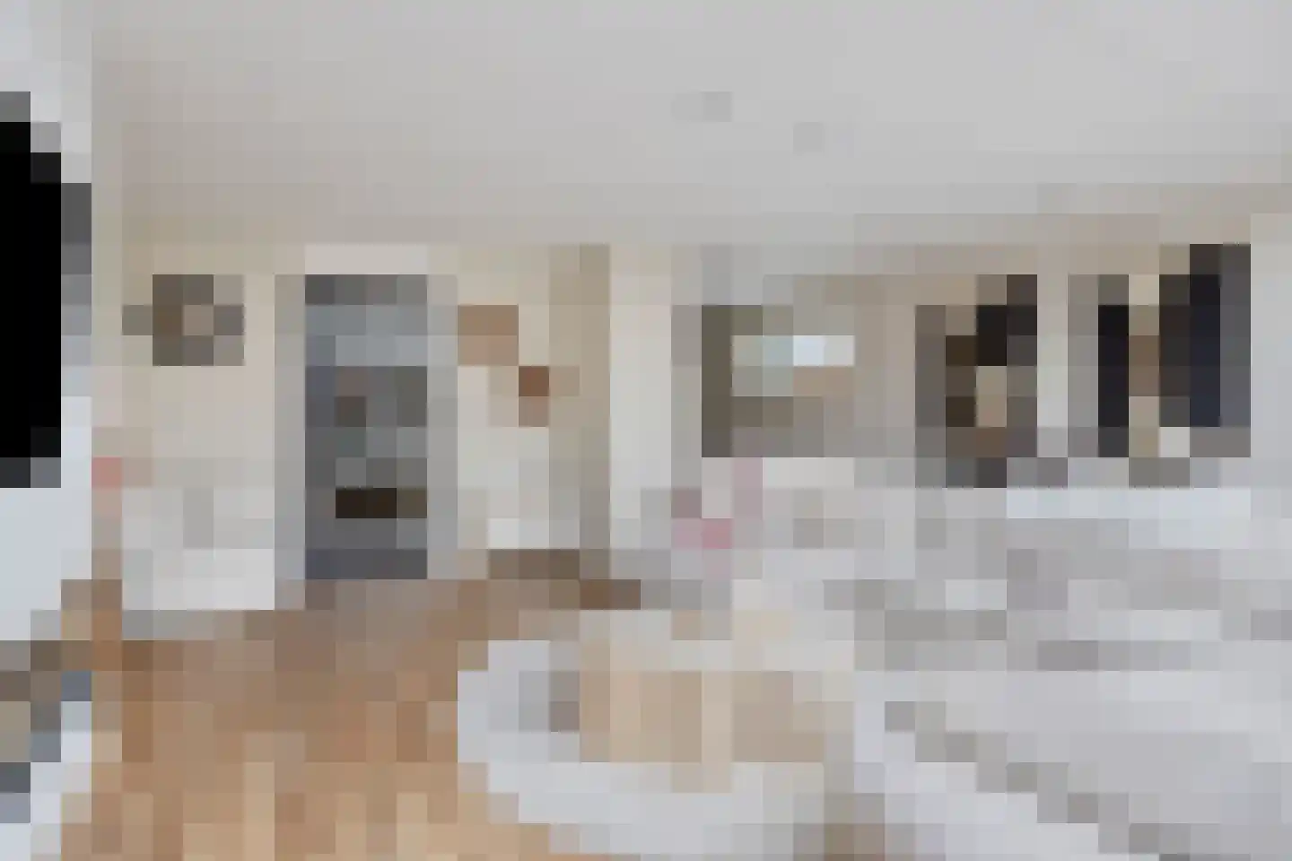 Erve Wolbert 7 Oldenzaal thumbnail 8