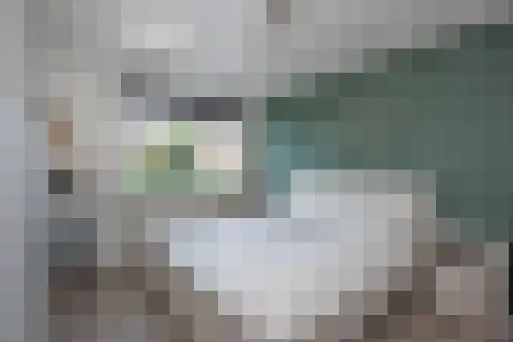 Erve Wolters 23 Rijssen thumbnail 13