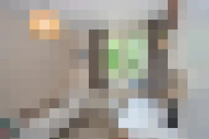 Erve Wolters 23 Rijssen thumbnail 18