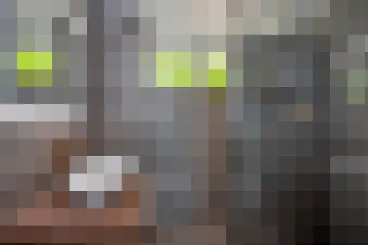 Erve Wolters 23 Rijssen thumbnail 20