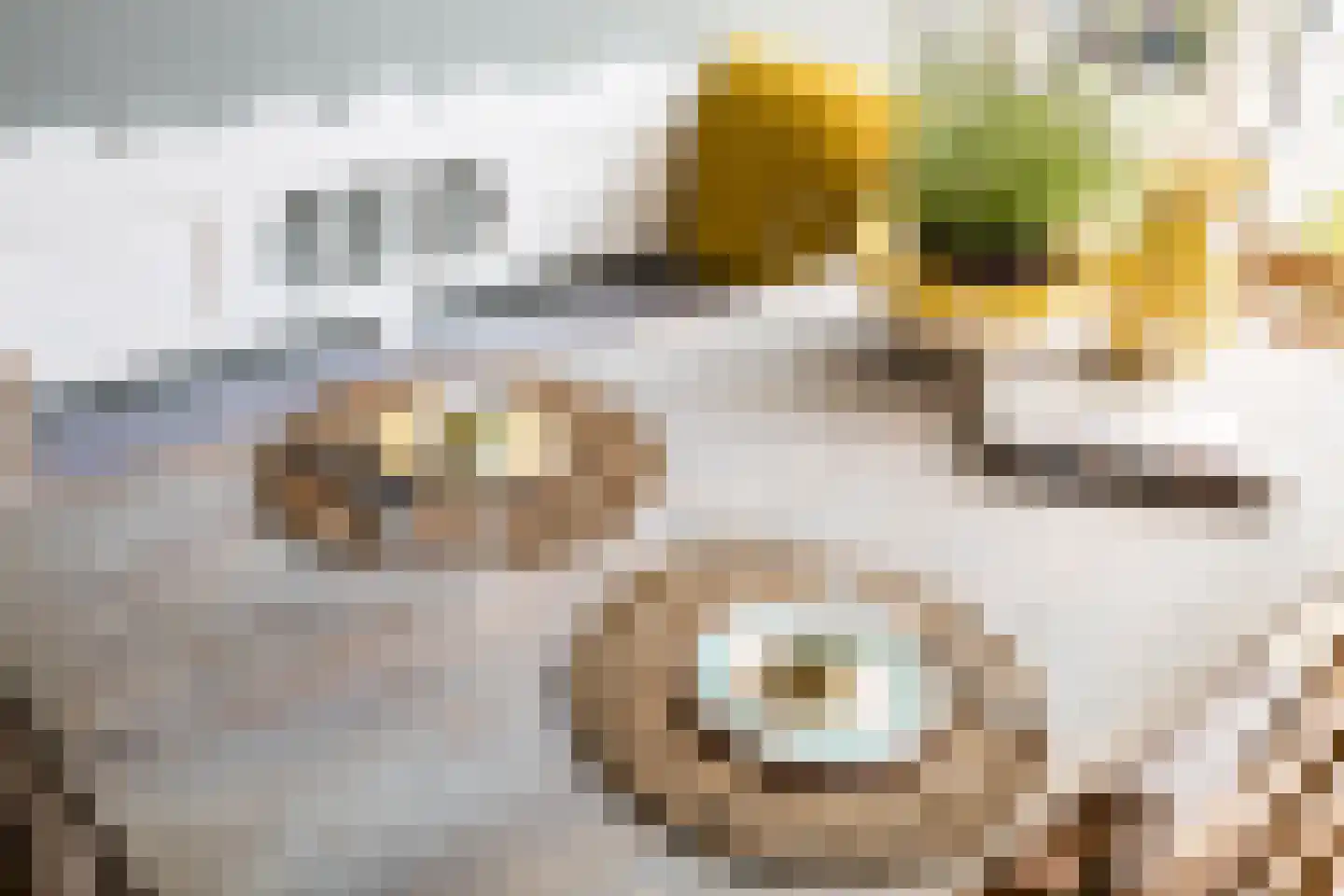 Erve Zeggelt 10 Enschede thumbnail 20
