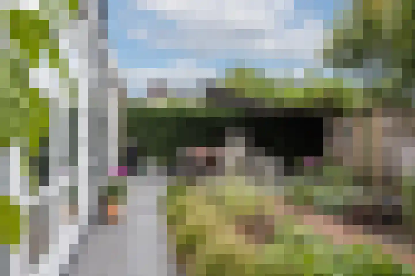 Erve Zeggelt 10 Enschede thumbnail 38