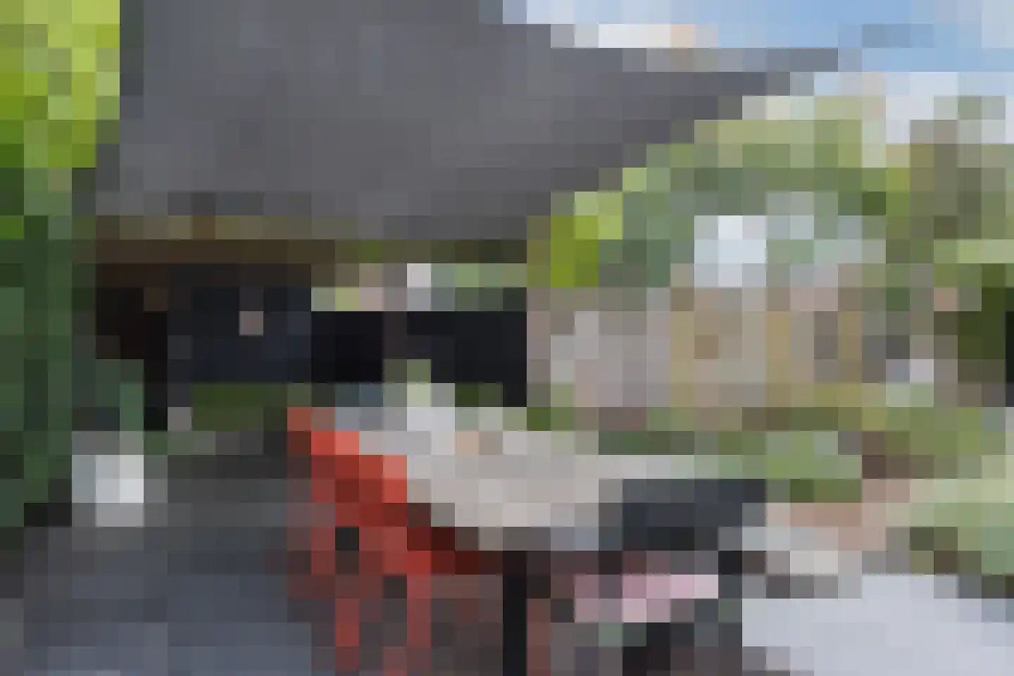 Erve Zeggelt 10 Enschede thumbnail 40