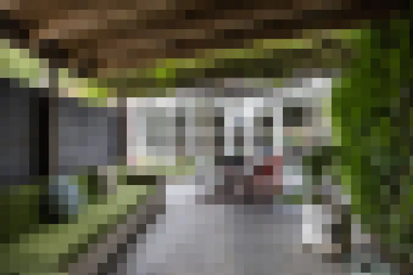 Erve Zeggelt 10 Enschede thumbnail 42