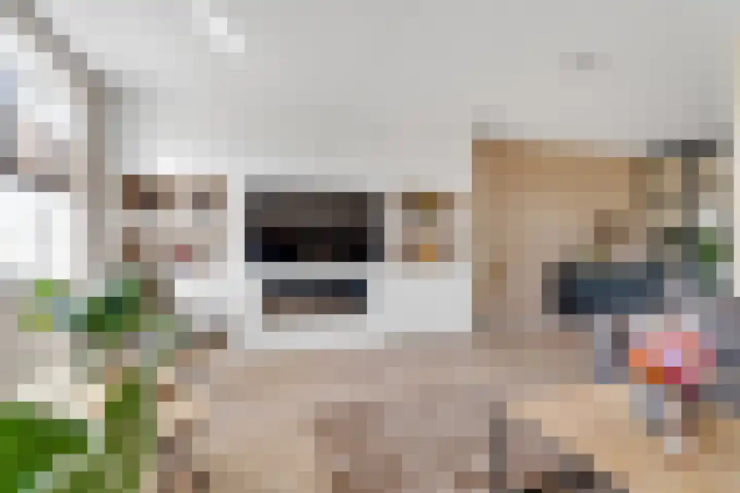 Ervenweg 14 Hardenberg thumbnail 10